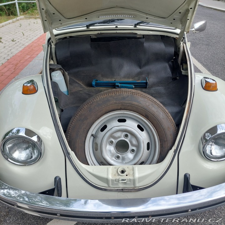 Volkswagen Brouk 1973