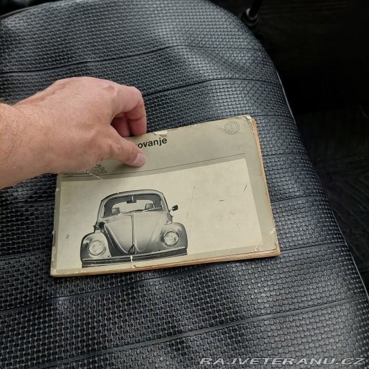 Volkswagen Brouk 1973