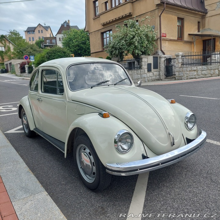 Volkswagen Brouk 1973