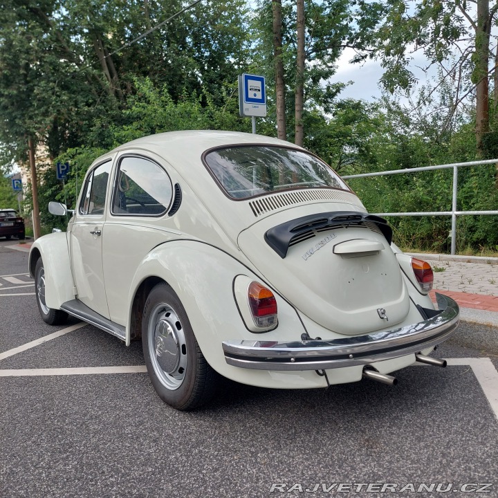 Volkswagen Brouk 1973