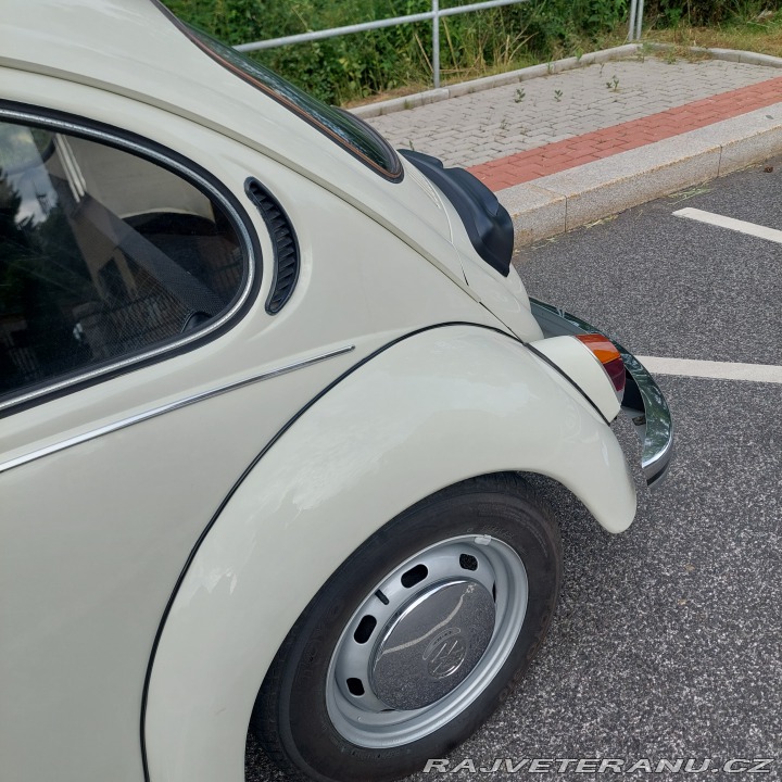 Volkswagen Brouk 1973