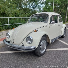 Volkswagen Brouk  1973