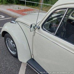 Volkswagen Brouk  1973
