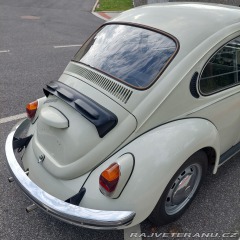 Volkswagen Brouk  1973