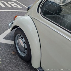 Volkswagen Brouk  1973
