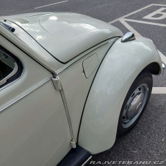 Volkswagen Brouk  1973