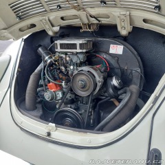 Volkswagen Brouk  1973