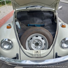 Volkswagen Brouk  1973