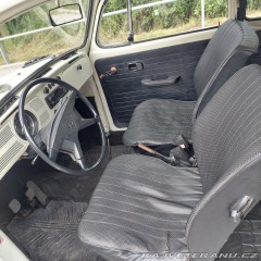 Volkswagen Brouk  1973