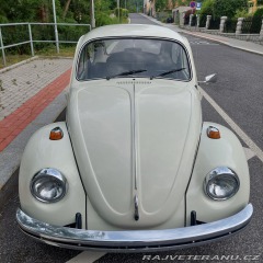 Volkswagen Brouk  1973