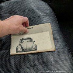 Volkswagen Brouk  1973