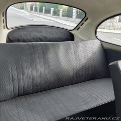 Volkswagen Brouk  1973