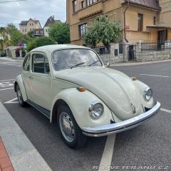 Volkswagen Brouk  1973