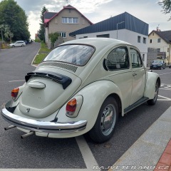 Volkswagen Brouk  1973