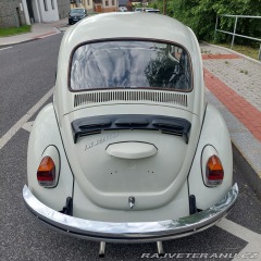 Volkswagen Brouk  1973