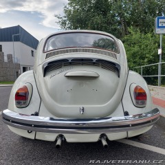Volkswagen Brouk  1973