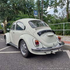 Volkswagen Brouk  1973