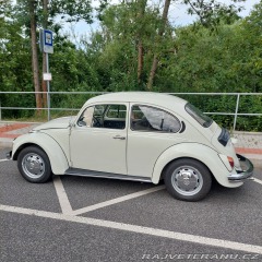 Volkswagen Brouk  1973