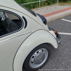 Volkswagen Brouk  1973