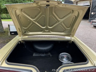Dodge Monaco 500 1967
