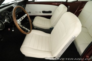 Ford Mustang 1.facelift 302 cu in 1967