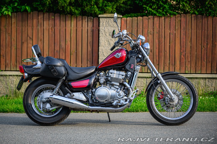 Kawasaki EN EN 500 1995