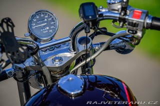 Kawasaki EN EN 500 1995