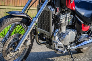 Kawasaki EN EN 500 1995
