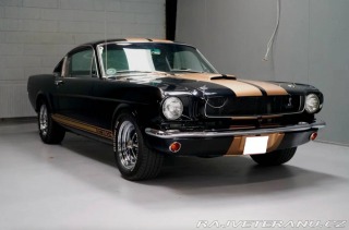 Ford Mustang Fastback Hertz Clone