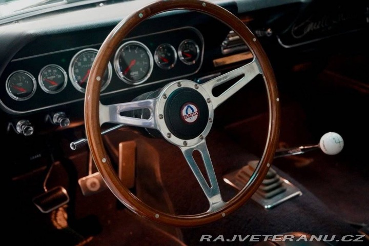 Ford Mustang Fastback Hertz Clone 1966