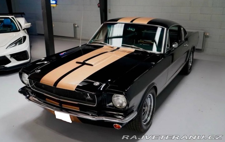 Ford Mustang Fastback Hertz Clone 1966