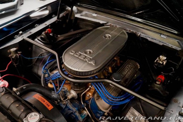 Ford Mustang Fastback Hertz Clone 1966