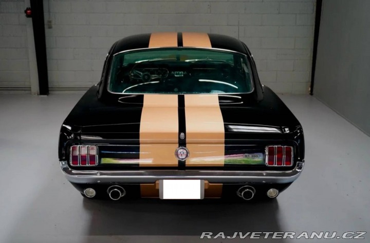 Ford Mustang Fastback Hertz Clone 1966