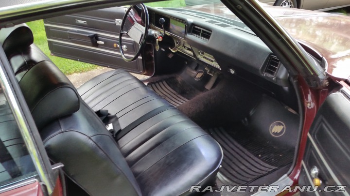Buick Skylark 1969
