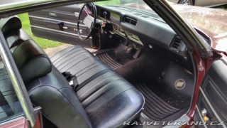 Buick Skylark 1969