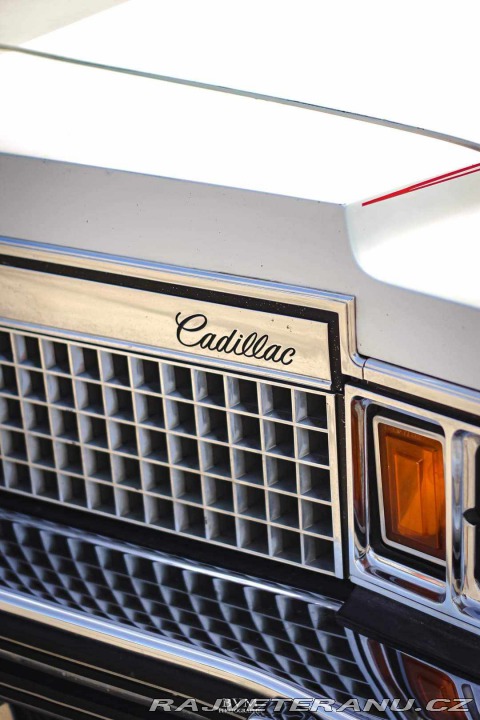 Cadillac Fleetwood 1978