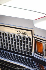 Cadillac Fleetwood  1978