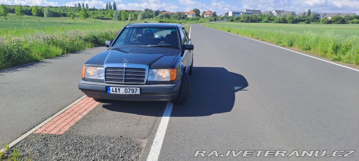 Mercedes-Benz 300 W124 300 E -24 1989