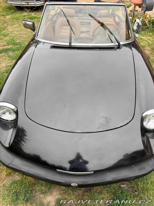 Alfa Romeo Spider Coda tronca 1978