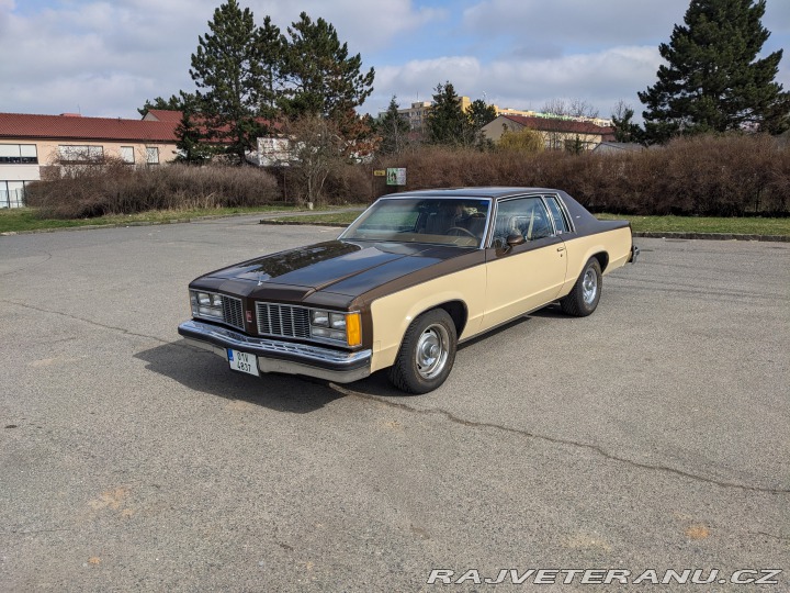 Oldsmobile 88 Delta 88 Holiday 1979