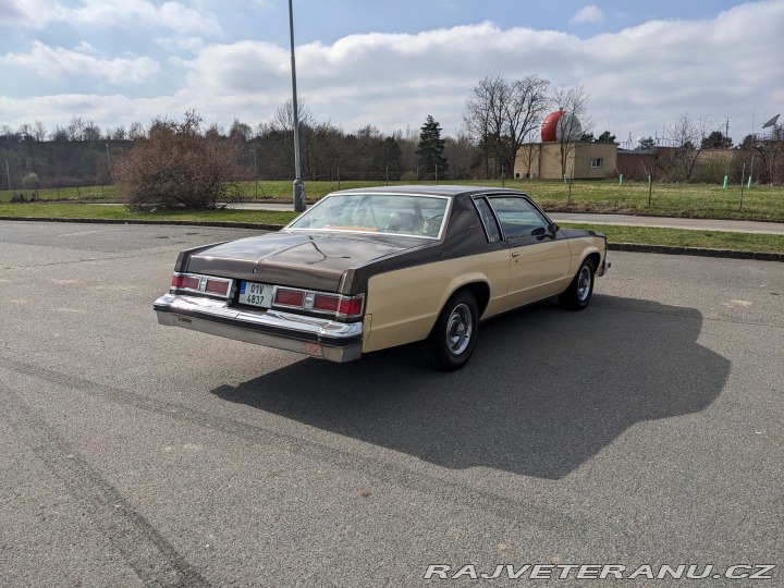 Oldsmobile 88 Delta 88 Holiday 1979