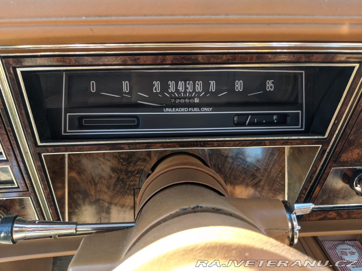 Oldsmobile 88 Delta 88 Holiday 1979