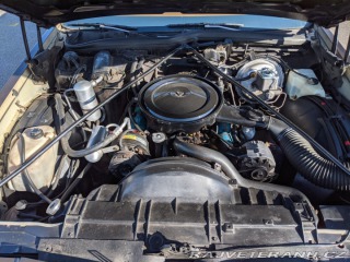 Oldsmobile 88 Delta 88 Holiday 1979