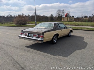 Oldsmobile 88 Delta 88 Holiday 1979