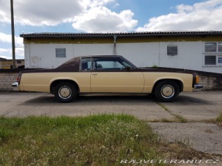 Oldsmobile 88 Delta Holiday 1979