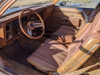 Oldsmobile 88 Delta 88 Holiday 1979