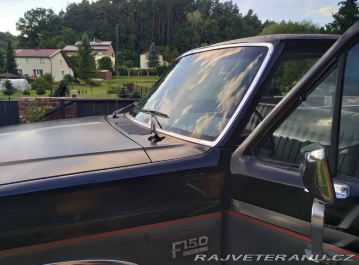 Ford V8 F-150 V8 5,0 1985