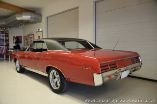 Pontiac GTO  1967