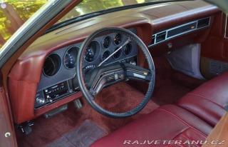 Ford Ranchero  1979