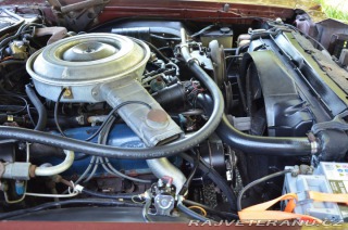 Ford Ranchero  1979